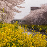 spring storm
