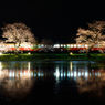 夜桜小湊鉄道