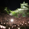 丸岡城の夜桜その２（2016福井の夜桜シリーズ）