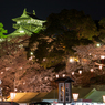 丸岡城の夜桜その３（2016福井の夜桜シリーズ）