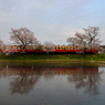 桜小湊鉄道