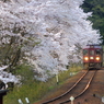 2016花のわたらせ渓谷鐵道⑧