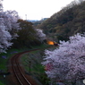 2016花のわたらせ渓谷鐵道⑨