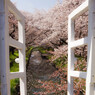 Heaven' door