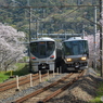 阪和線225系と223系