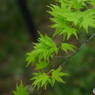 秋の楽しみ