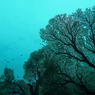 シミラン諸島
