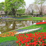 和洋庭園かな４