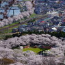 船岡城址