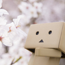 「愛でる」