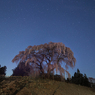 芹沢の桜と星空