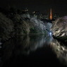 春の夜の夢なう