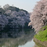 ウェイキンなう