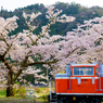 若桜駅：DD16