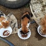 仲良し3兄妹