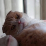 んっ....