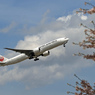 「雲・さくら」　と　「JAL」
