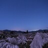 カルスト台地の夜