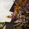 DSC01125