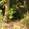 DSC01131