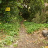 DSC01132