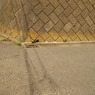 DSC01144