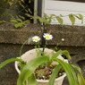 DSC01150