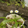 DSC01151