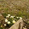 DSC01153