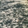 初夏陽気