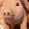 Another Pig