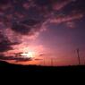 夕日