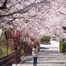 桜坂