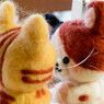 Kiss Cat