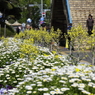 公園入口のにぎわい