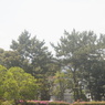 KonicaJ