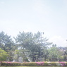 Konica Eye HEXANON 30/1.9