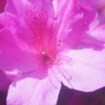 Konica Eye HEXANON 30/1.9