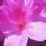 Konica Eye HEXANON 30/1.9