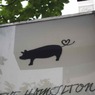 One more pig