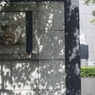 Tiger (in bush)