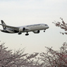 Air New Zealand B787-9 ZK-NZC 「さくら」