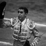 Matador