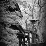 the country of sakura...