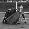 Corrida