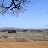 田植え待つ