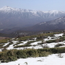 雪残る
