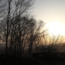 夕日に映える
