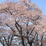 華麗なる姿３