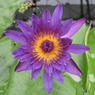 掛川花鳥園